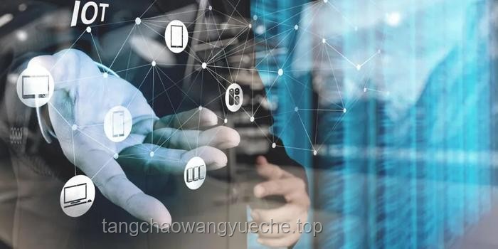 “破产就找杨齐家”现象下的网络直播与破产咨询新趋势